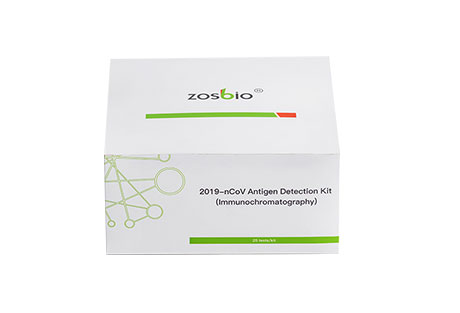 2019-nCoV Antigen Detection Kit
